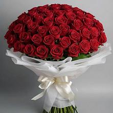 Букет 101 Красная роза Блэк Мэджик в Етеревской
