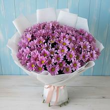 Букет цветов из:  Хризантемы #REPLACE_PRED# Етеревской