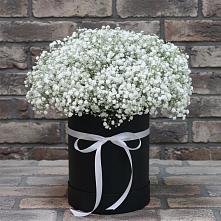 Цветочная композиция из Гипсофила в шляпной коробке #REPLACE_PRED# Етеревской