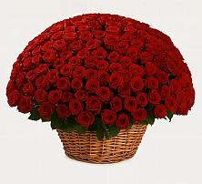 Премиум букет из: Розы в Етеревской